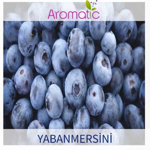 Aromatic Yabanmersini Aroması 100ml